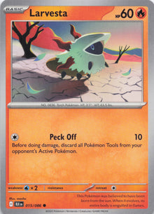 Larvesta - NM front