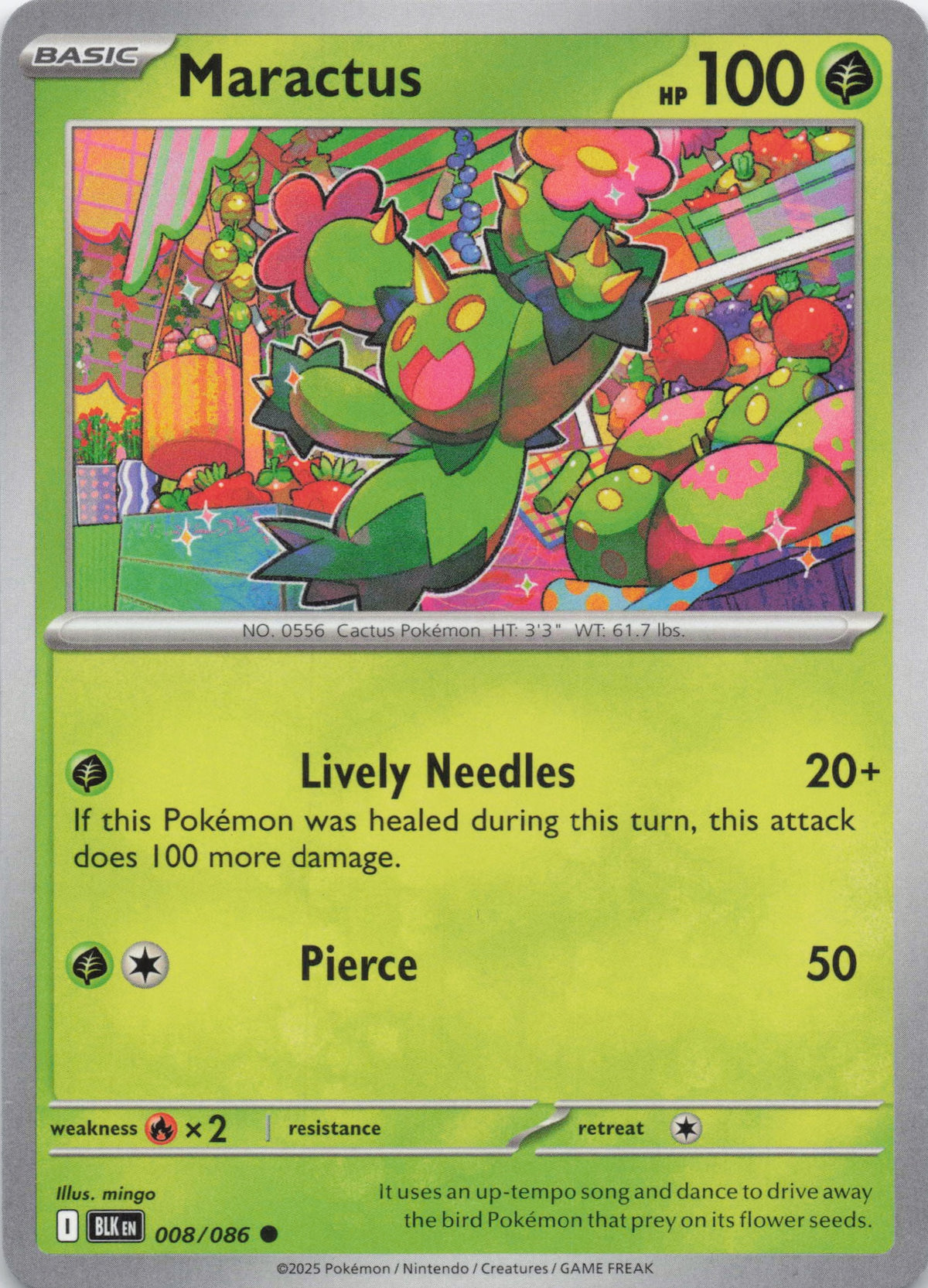 Maractus - NM front