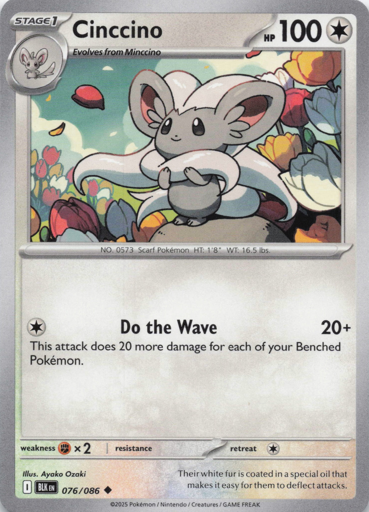 Cinccino - NM front