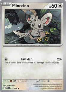 Minccino - NM front