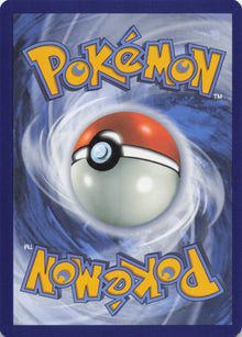Minccino - NM back