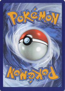 Krokorok - NM back