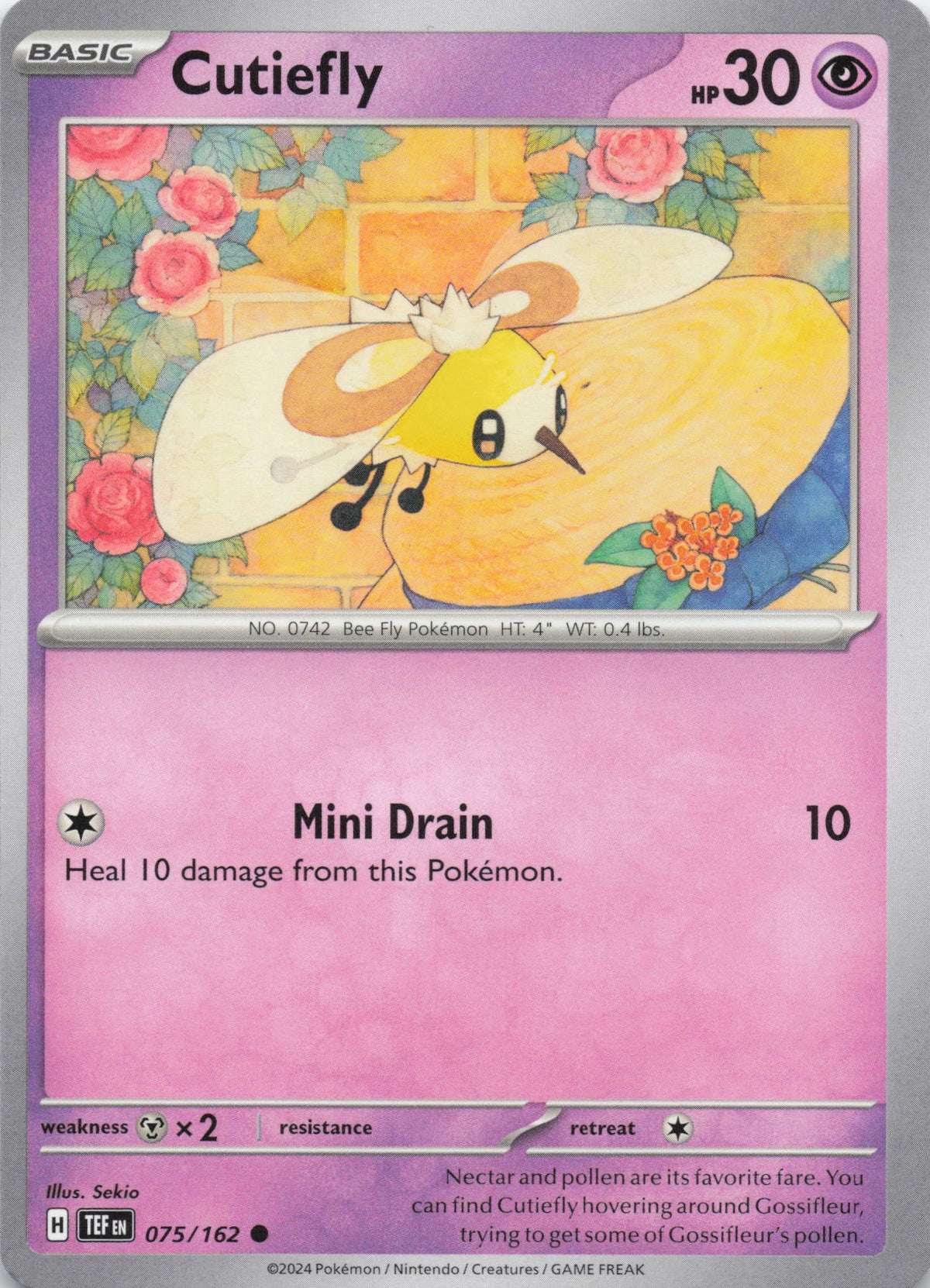 Cutiefly - NM front
