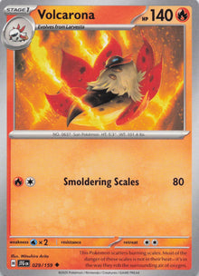 Volcarona - NM front