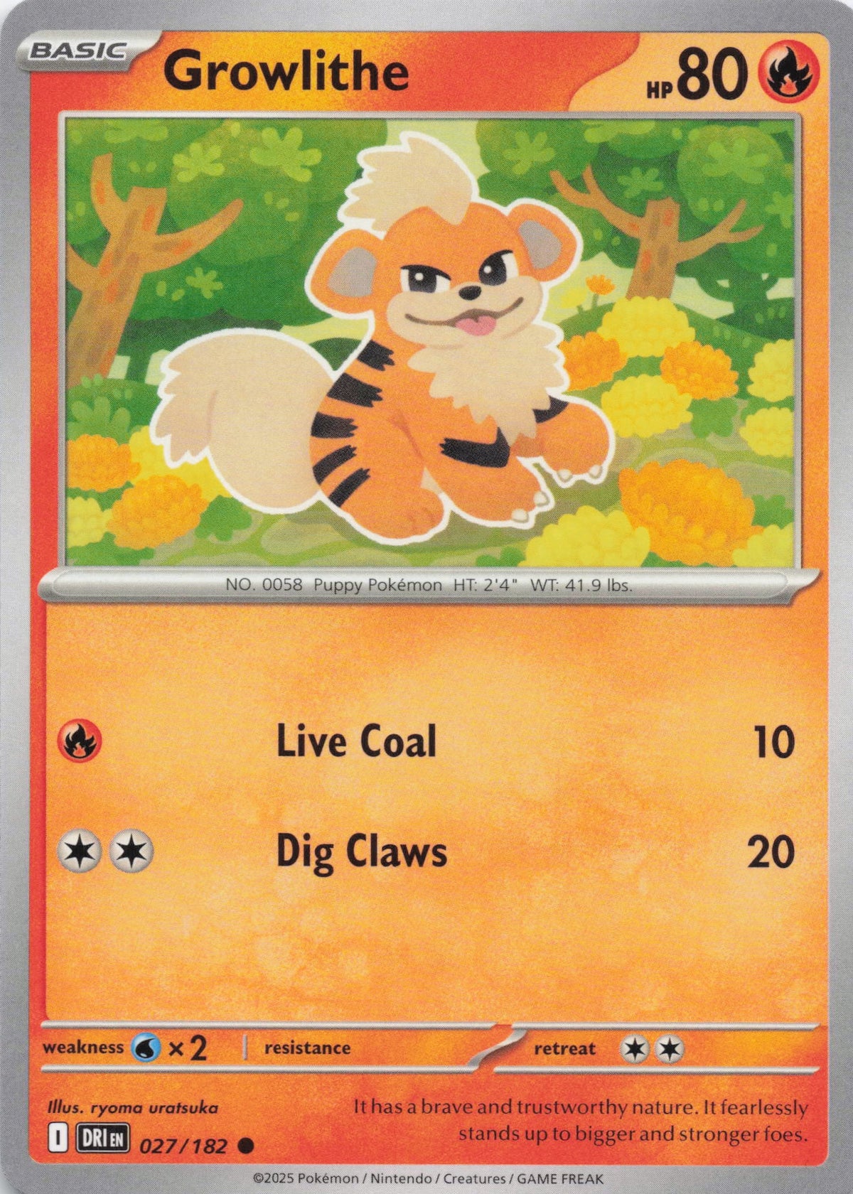 Growlithe - NM front