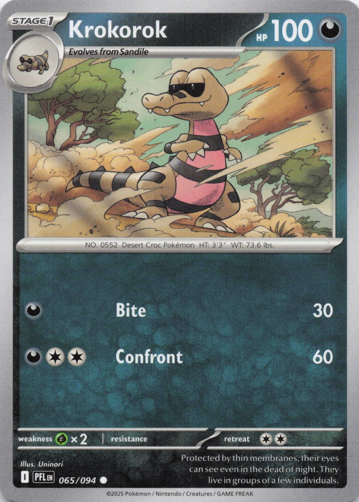 Krokorok - NM front