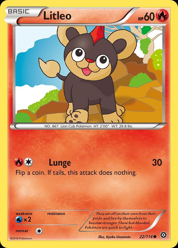 Litleo - Catalogusvoorbeeld